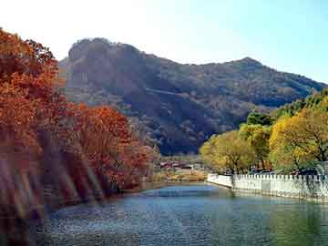 澳门二四六天天彩图库，雪逝